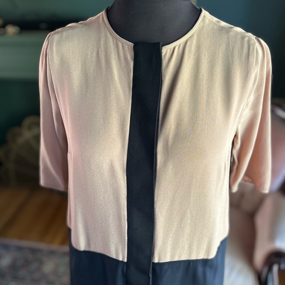 Victoria Beckham Colour Block Shift Dress - Picture 6 of 11